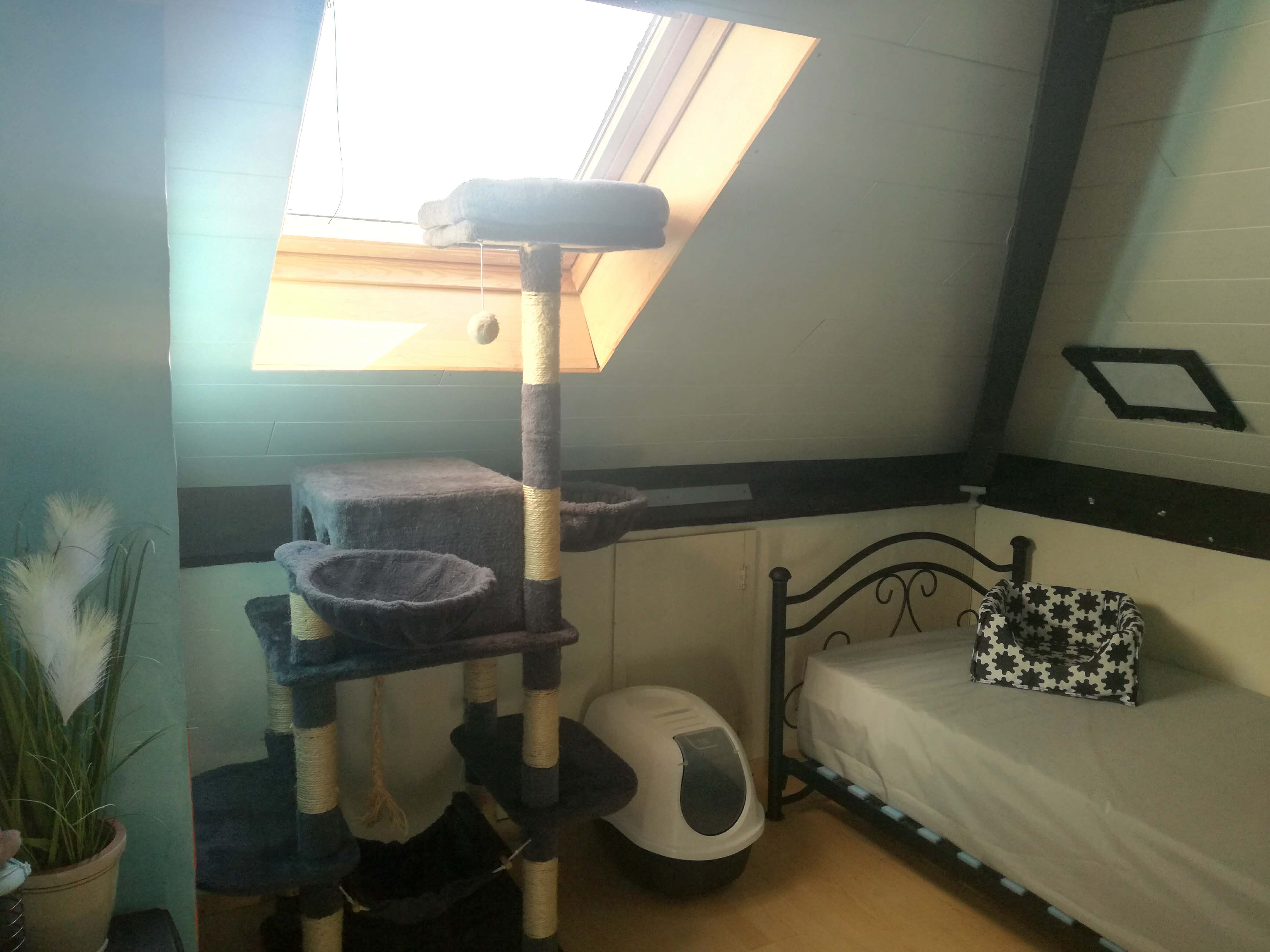 Kattenhotel Oostkamp