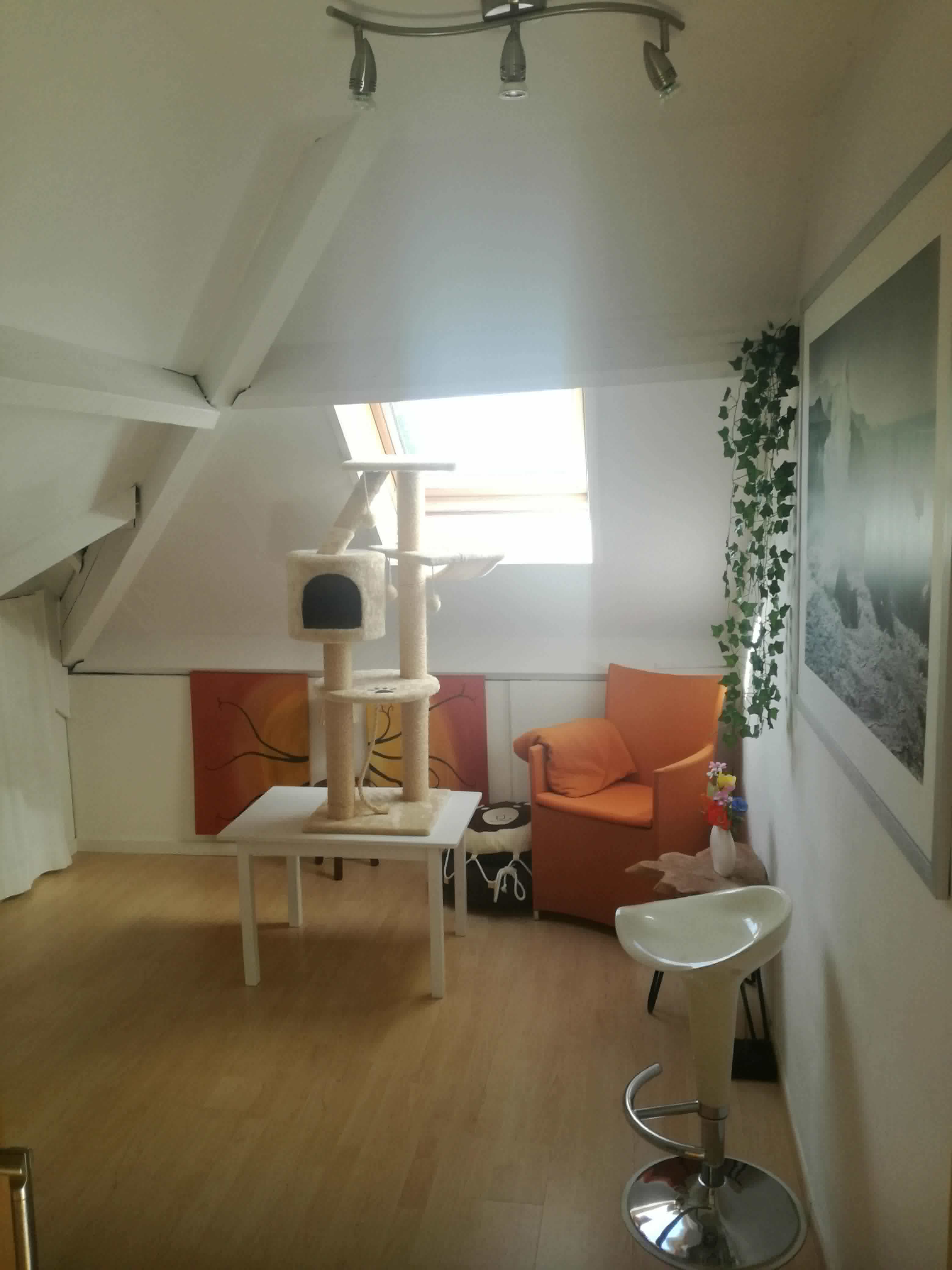 Kattenhotel Oostkamp